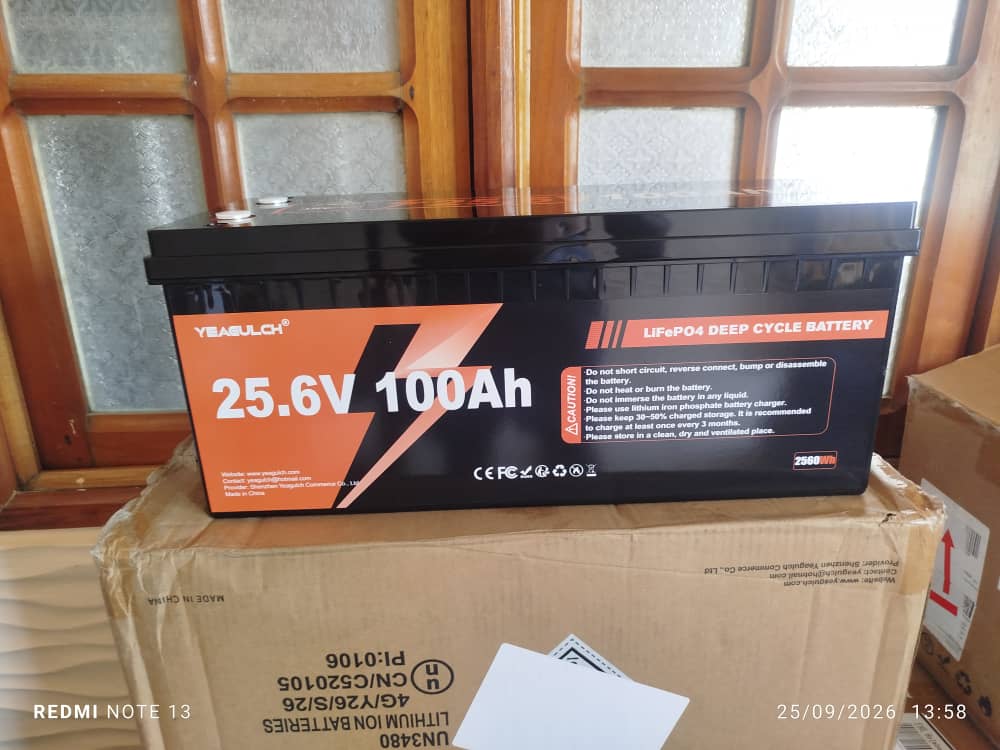 Batería LiFePO4 24 V 100 Ah